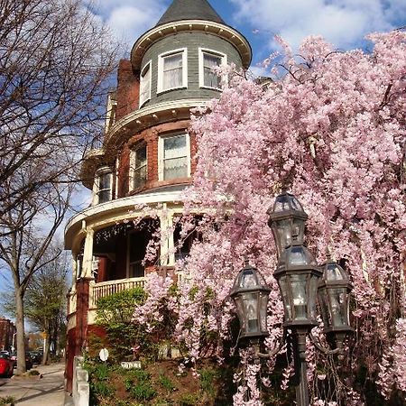 Wilson House Bed & Breakfast Baltimore Dış mekan fotoğraf