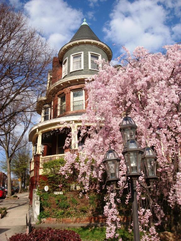 Wilson House Bed & Breakfast Baltimore Dış mekan fotoğraf
